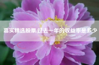 嘉实精选股票,过去一年的收益率是多少