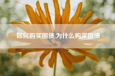 如何购买国债,为什么购买国债