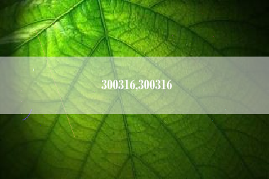300316,300316