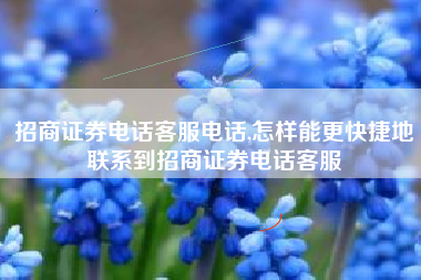 招商证券电话客服电话,怎样能更快捷地联系到招商证券电话客服