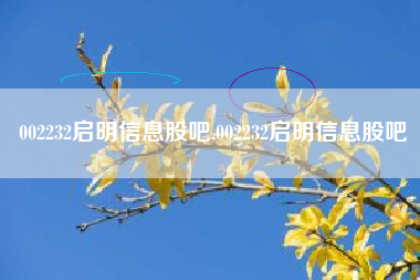 002232启明信息股吧,002232启明信息股吧