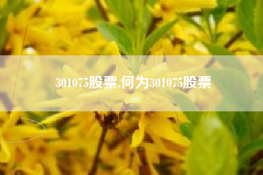 301075股票,何为301075股票