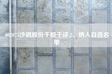 002075沙钢股份千股千评,2、纳入自选名单