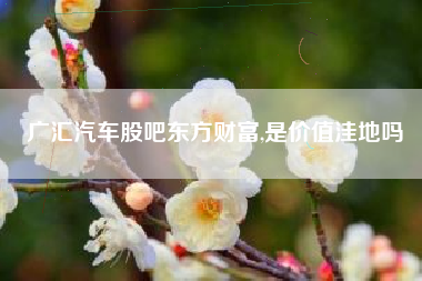 广汇汽车股吧东方财富,是价值洼地吗