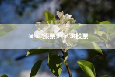 002337股票,3 002337股票
