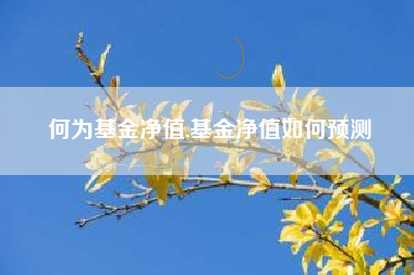 何为基金净值,基金净值如何预测