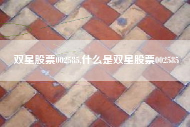 双星股票002585,什么是双星股票002585