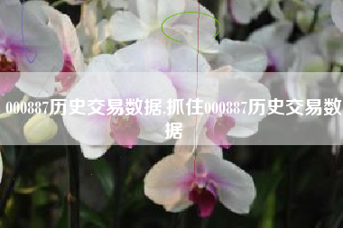 000887历史交易数据,抓住000887历史交易数据