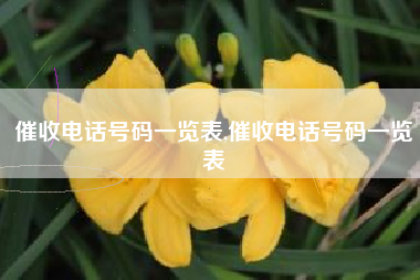 催收电话号码一览表,催收电话号码一览表