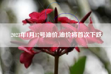 2023年1月17号油价,油价将首次下跌