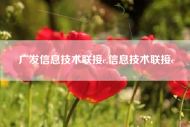 广发信息技术联接c,信息技术联接c