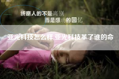 亚光科技怎么样,亚光科技革了谁的命