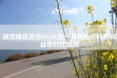 建信臻选混合011169,近一月和近三月的收益率对比如何