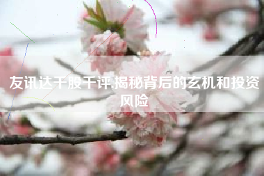 友讯达千股千评,揭秘背后的玄机和投资风险
