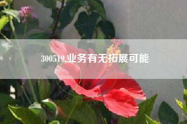 300519,业务有无拓展可能