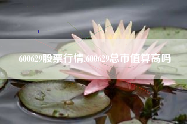 600629股票行情,600629总市值算高吗