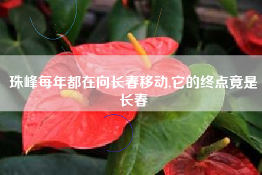 珠峰每年都在向长春移动,它的终点竟是长春