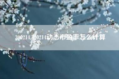 300214,300214动态市盈率怎么计算