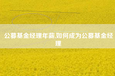 公募基金经理年薪,如何成为公募基金经理