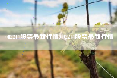 002214股票最新行情,002214股票最新行情