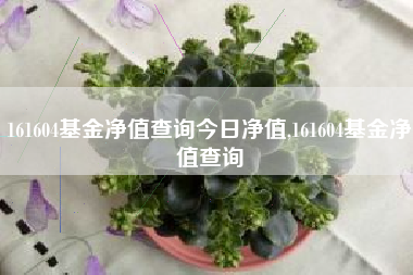 161604基金净值查询今日净值,161604基金净值查询