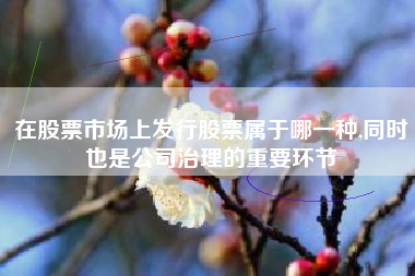 在股票市场上发行股票属于哪一种,同时也是公司治理的重要环节