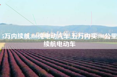 5万内续航300纯电动汽车,五万内买300公里续航电动车