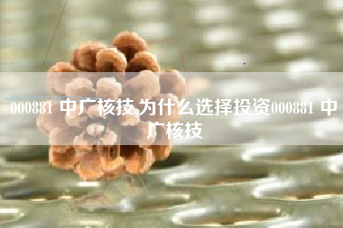 000881 中广核技,为什么选择投资000881 中广核技