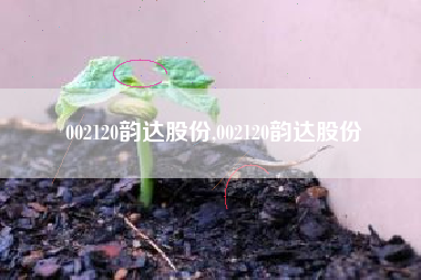 002120韵达股份,002120韵达股份