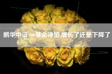 鹏华中证500基金净值,增长了还是下降了