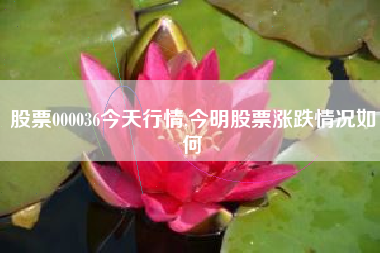 股票000036今天行情,今明股票涨跌情况如何