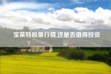 宝莱特股票行情,这是否值得投资