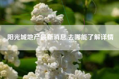阳光城地产最新消息,去哪能了解详情