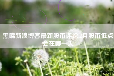 黑嘴新浪博客最新股市评论,2月股市低点会在哪一天