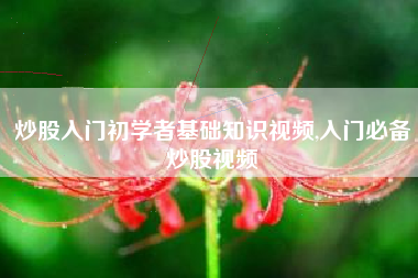 炒股入门初学者基础知识视频,入门必备炒股视频