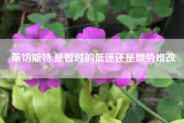 莱切斯特,是暂时的低迷还是颓势难改