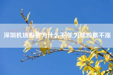 深圳机场股票为什么不涨,为啥股票不涨