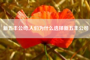 新五丰公司,人们为什么选择新五丰公司