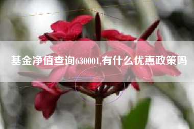 基金净值查询630001,有什么优惠政策吗