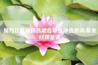 易方达蓝筹精选混合基金净值查询,基金经理是谁