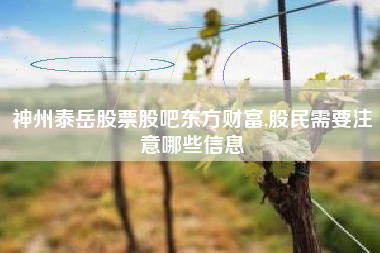 神州泰岳股票股吧东方财富,股民需要注意哪些信息