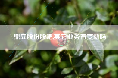 鼎立股份股吧,其它业务有变动吗