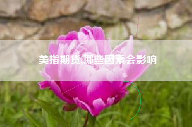 美指期货,哪些因素会影响