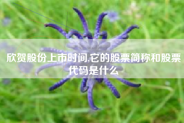 欣贺股份上市时间,它的股票简称和股票代码是什么