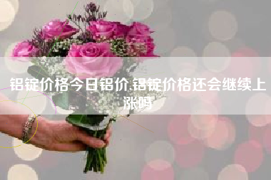 铝锭价格今日铝价,铝锭价格还会继续上涨吗