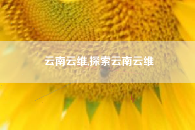 云南云维,探索云南云维