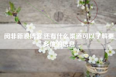闵非新浪博客,还有什么渠道可以了解更多他的信息