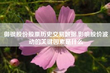 御银股份股票历史交易数据,影响股价波动的关键因素是什么