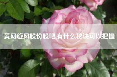 黄河旋风股份股吧,有什么秘诀可以把握