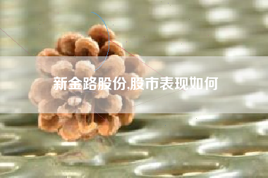 新金路股份,股市表现如何